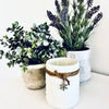 22oz KANA White Hobnail Candle - With jute string & charm - Muskoka Pines Fragrance - The Red Door Engraving Company Inc.